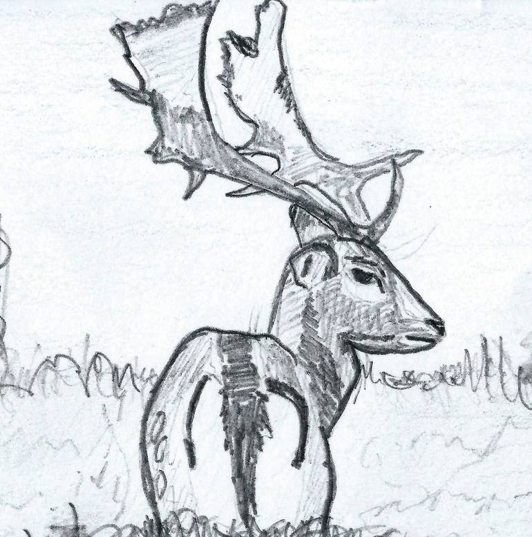 Original Animal Drawing by JD Duran
