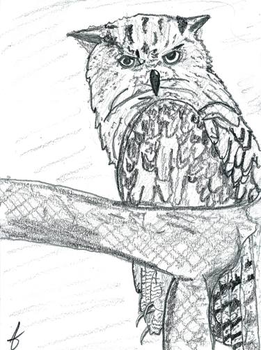 Horned Owl 1 thumb