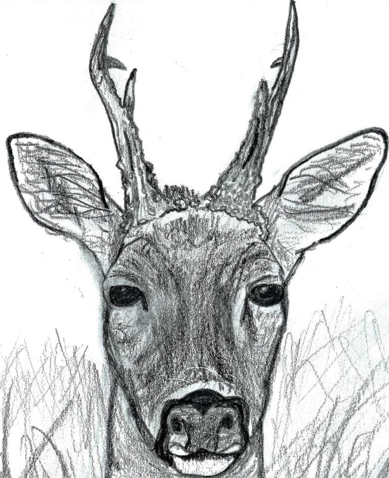 Original Animal Drawing by JD Duran