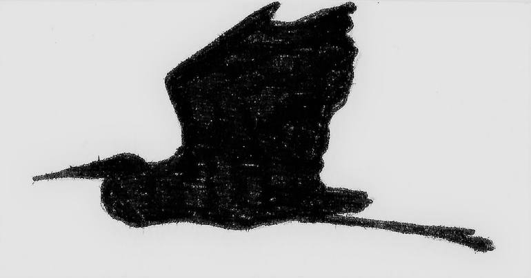 Original Expressionism Animal Drawing by Jd Duran