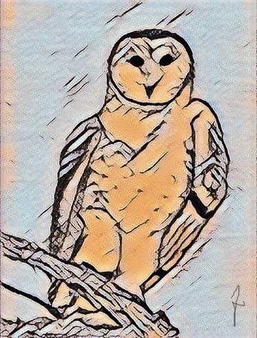 Deco barn Owl thumb
