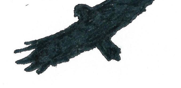 Original Expressionism Animal Drawing by Jd Duran