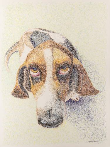 Original Portraiture Animal Drawings by Michele Decouvreur