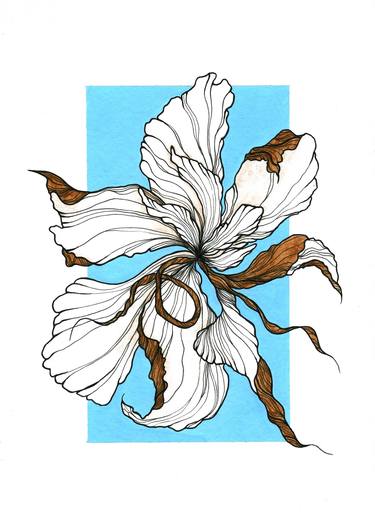 Original Illustration Floral Paintings by Carolina Orozco
