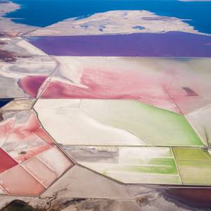 Collection Limited Editions: The Other Art Fair Los Angeles Virtual Editions