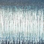 Collection Best of 2022