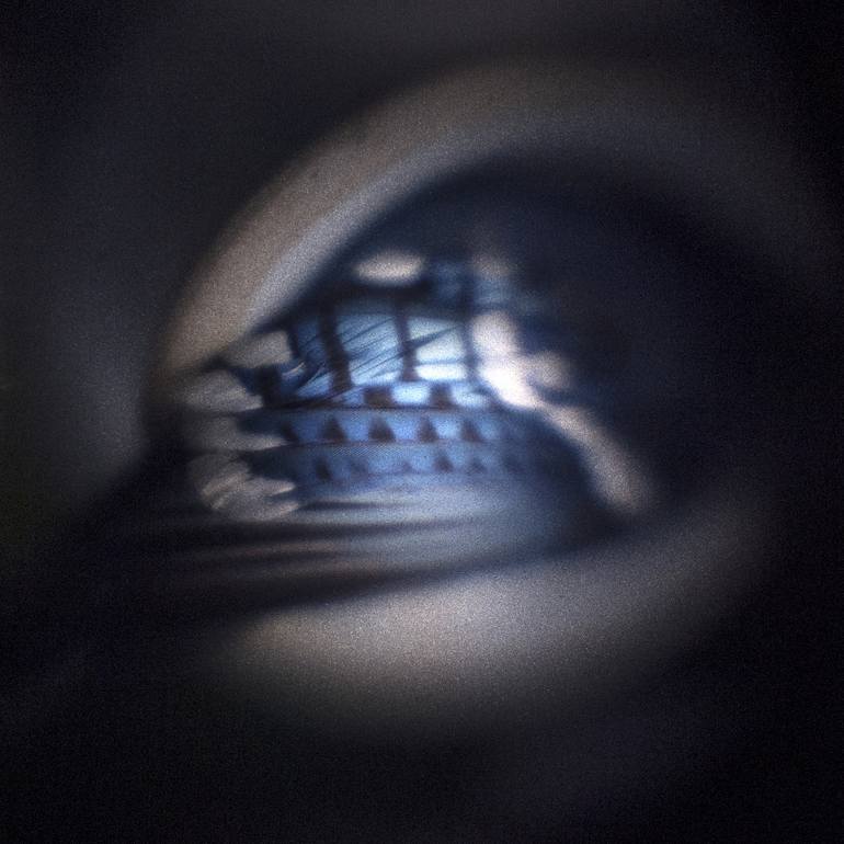 Dead Blue Jay (Wing) - Limited Edition 1 of 25 Photography by Liz