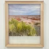 Painted Desert 1 by Lauren Tompkins