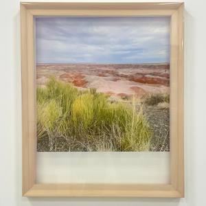 Painted Desert 1