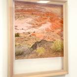 Painted Desert 2 by Lauren Tompkins