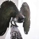 Wings are shields, feathers are knives. by Mikhail Minin