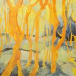 Gum forest by Amanda Cutlack