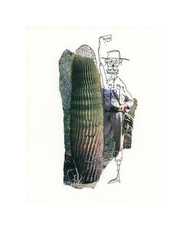 Cactus dude thumb