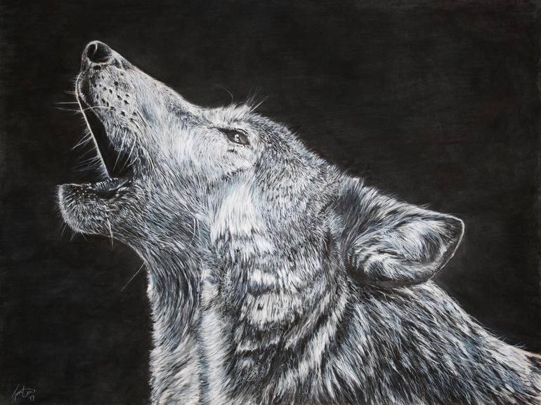 Ode To Alpha (Wolf 1) Drawing by Thomas Ciccone Saatchi Art