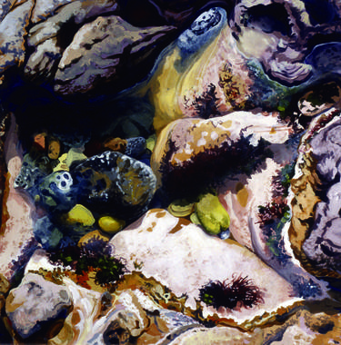 Lindisfarne Rock Pool Series - Set of 10 Paintings thumb