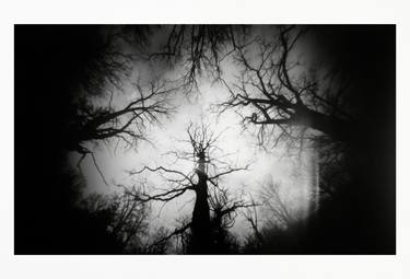 Whisper in the Trees | Fine art black and white photography, Limited edition print on Japanese paper thumb
