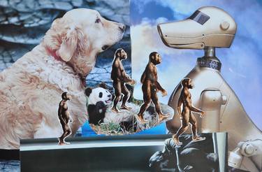 Original Animal Collage by Cigdem Reijer