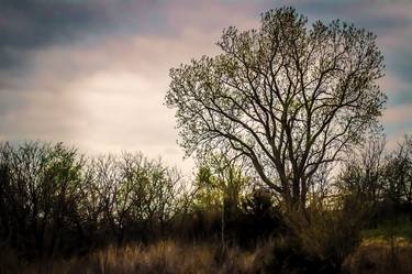 Print of Fine Art Language Photography by Meschak Lewis