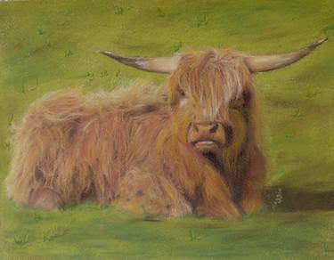 Trossachs Highland Cattle thumb