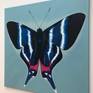 Original Butterfly Painting
