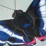 Large butterfly art