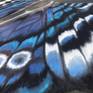 Large butterfly painting