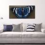 Butterfly canvas