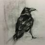 Raven Drawing by Maria Derevenkina | Saatchi Art