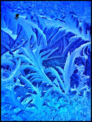 Original Abstract Expressionism Sports Photography by Algis Kemezys