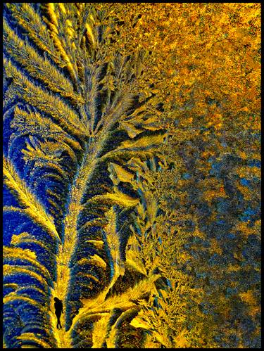 Original Abstract Expressionism Abstract Photography by Algis Kemezys