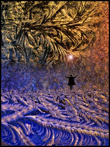Original Abstract Expressionism Fantasy Photography by Algis Kemezys