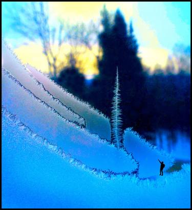 Original Abstract Expressionism Nature Photography by Algis Kemezys