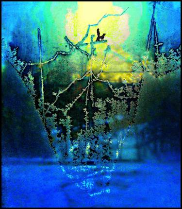 Original Abstract Expressionism Fantasy Photography by Algis Kemezys