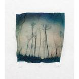 My Woods #3 - Limited Edition 1 of 1 by Aleksandra Wolter