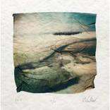 My Woods #6 - Limited Edition 1 of 1 by Aleksandra Wolter