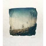 MyWoods#2 - Limited Edition 1 of 1 by Aleksandra Wolter