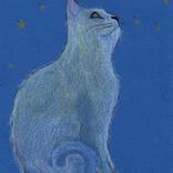 Quale stella sei?  - Which star are you? by Monica Marelli