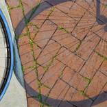 My Bike was Lost in Amsterdam by Dina Belyayeva
