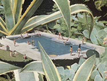 Original Surrealism Nature Collage by Maya Land