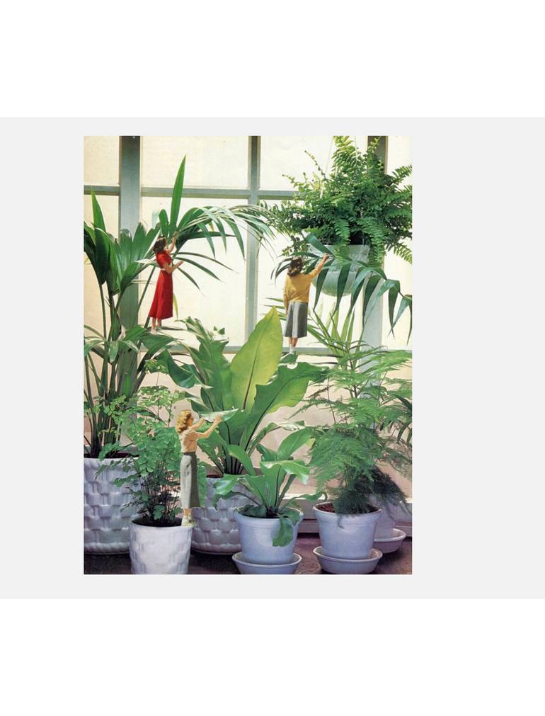 Original Surrealism Floral Printmaking by Maya Land