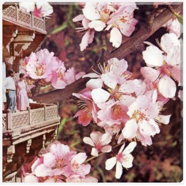 Original Floral Collage by Maya Land