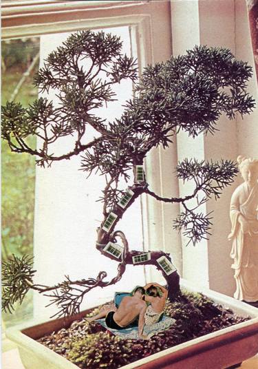 Bonsai tree fairies original collage thumb