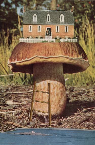 Mushroom house original collage thumb