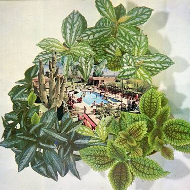 Original Botanic Collage by Maya Land