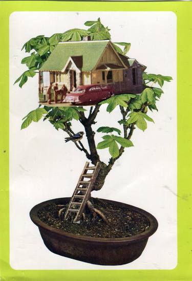 Bonsai tree house original collage thumb