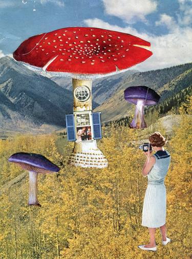 Mushroom fairies original collage thumb