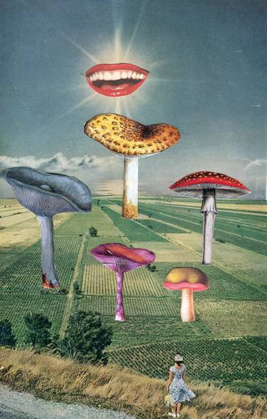 Original Surrealism Garden Collage by Maya Land