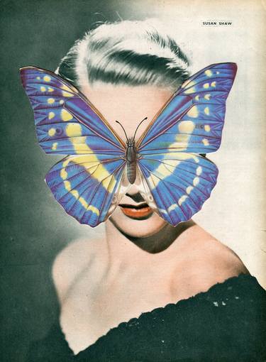 Butterfly portrait 2 original collage thumb