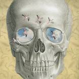 Collection Art Style: Optical Illusions