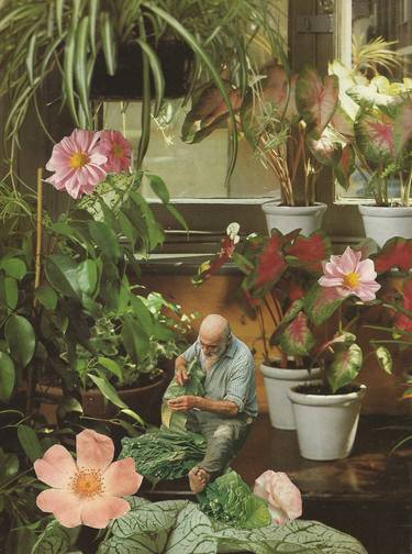 Print of Botanic Collage by Maya Land